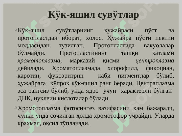 Кўк - яшил сувўтлари (Cyanophyta) бўлими. Қизил сувўтлари (Rhodophyta) бўлими 3