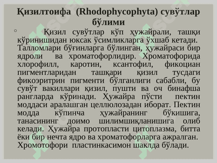 Кўк - яшил сувўтлари (Cyanophyta) бўлими. Қизил сувўтлари (Rhodophyta) бўлими 8