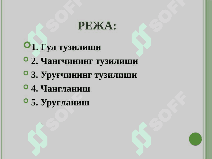Генератив органлар 2