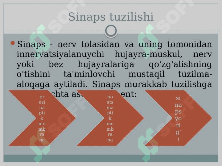 Sinapslarning turli moddalarga sezgirligi. 3