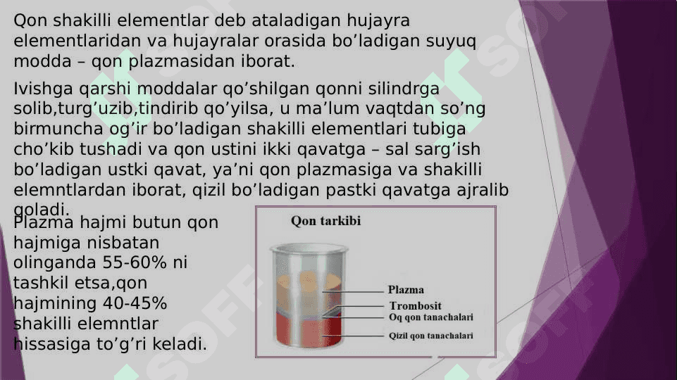 Qon va  limfa 4