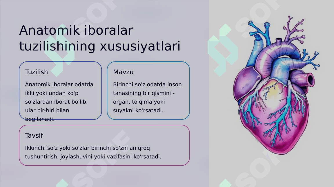 Anatomik iboralarning tarjimasi 4