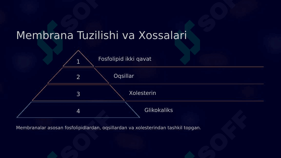 Biologik membranalardagi fizik jarayonlar 4