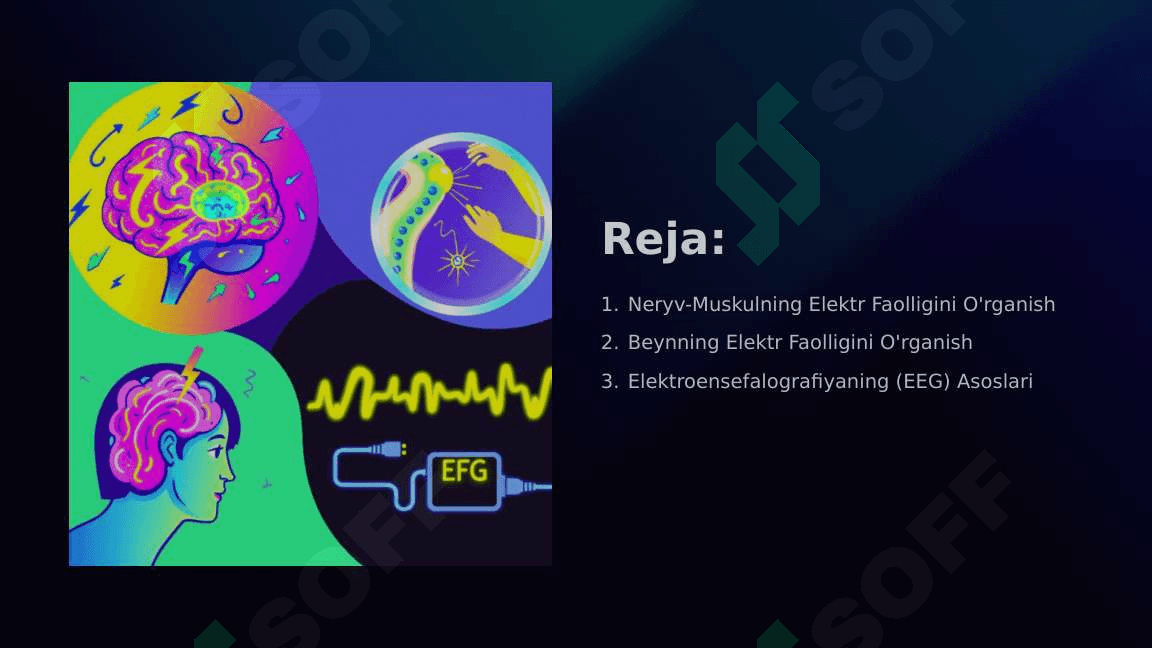 Elektrografiya usullarini fizik asoslari (EEG, EMG) 2