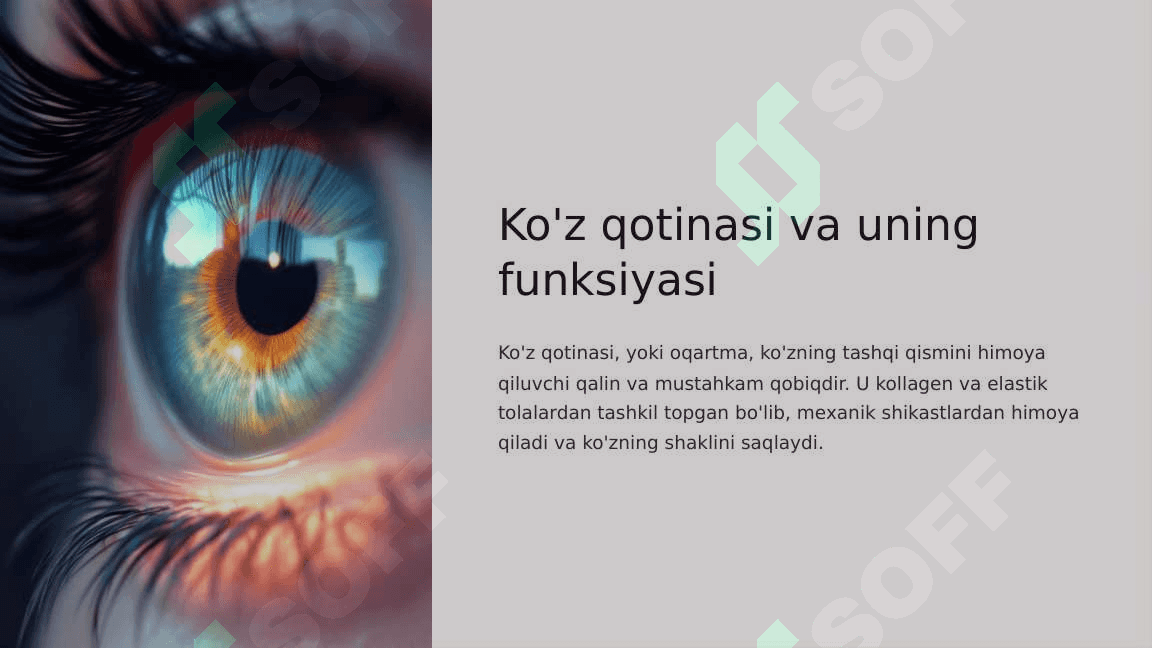 Ko'zning optik sistemasi va uning fizik xususiyatlari 4