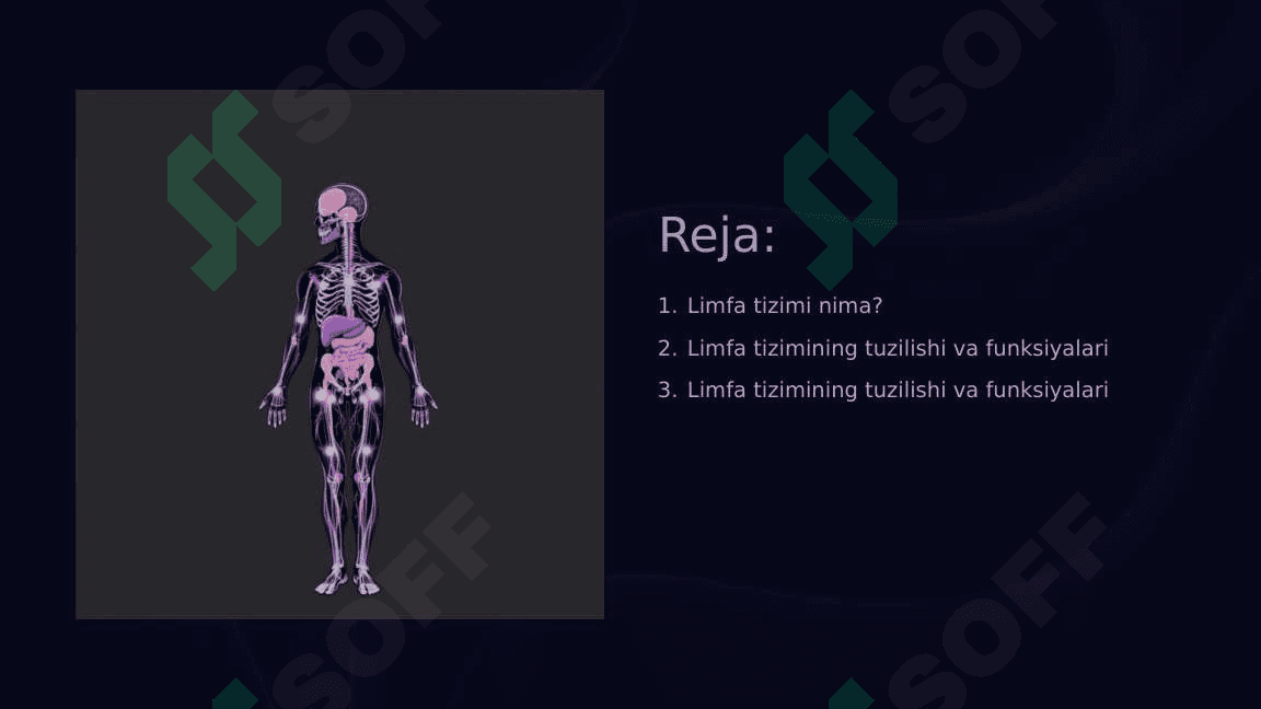 Limfa tizimi filogenezi, ontogenezi, anomaliyalari 2