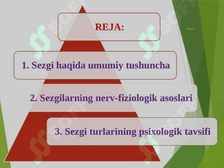Sezgi psixologiyasi (TAQDIMOT) 2