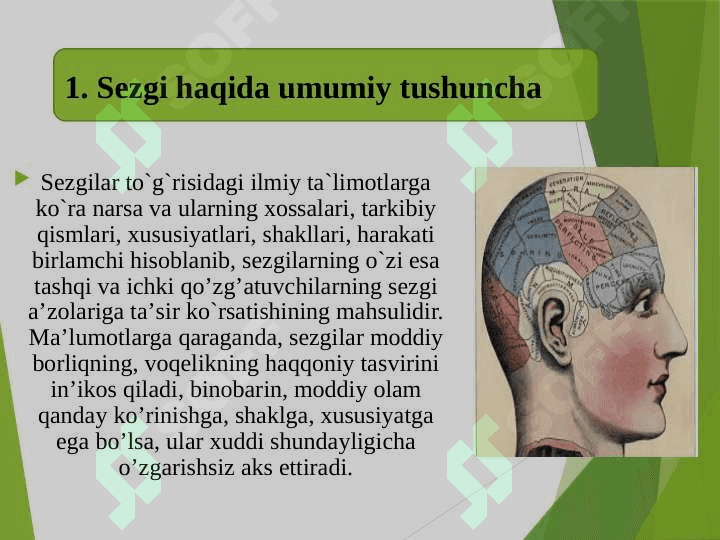 Sezgi psixologiyasi (TAQDIMOT) 4