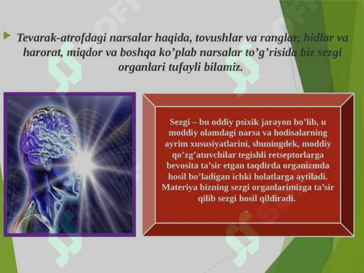 Sezgi psixologiyasi (TAQDIMOT) 6