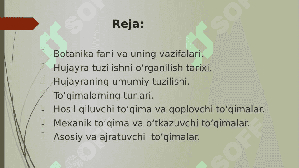 O‘simlik organoidlari, hujayra va to‘qimalari pptx 2