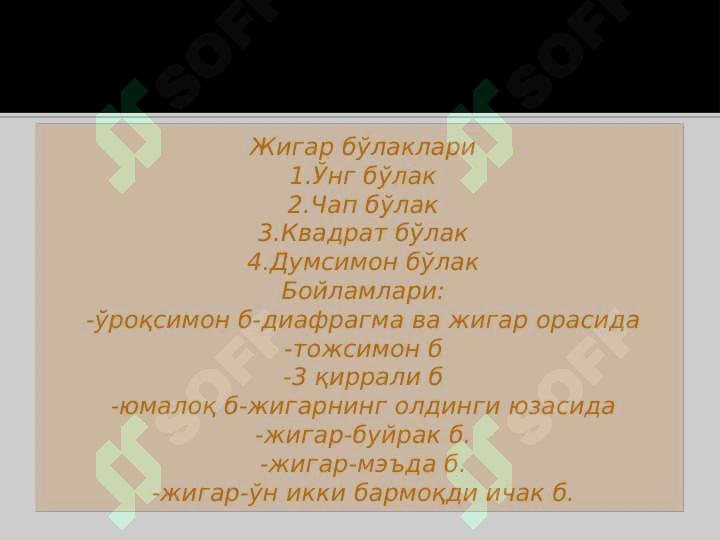 Jigar va taloq anatomiyasi | ЖИГАР ВА ТАЛОҚ АНАТОМИЯСИ 5