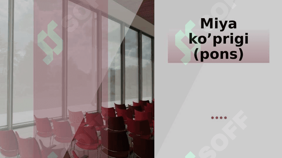 Miya ko'prigi va miyyacha 2