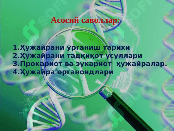 Ўсимлик ҳужайраси тузилиши pptx 2