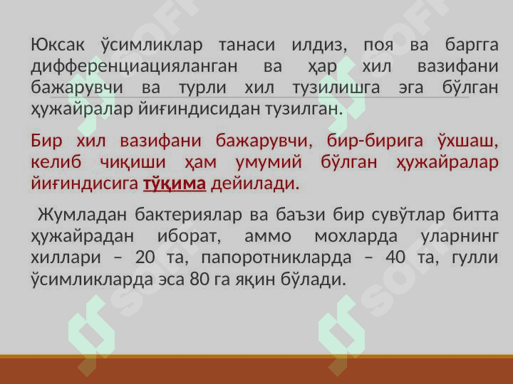Ўсимлик тўқималари pptx 3
