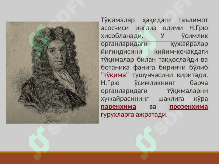 Ўсимлик тўқималари pptx 5