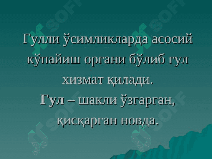 gul va uning tuzilishi va xillari pptx 3