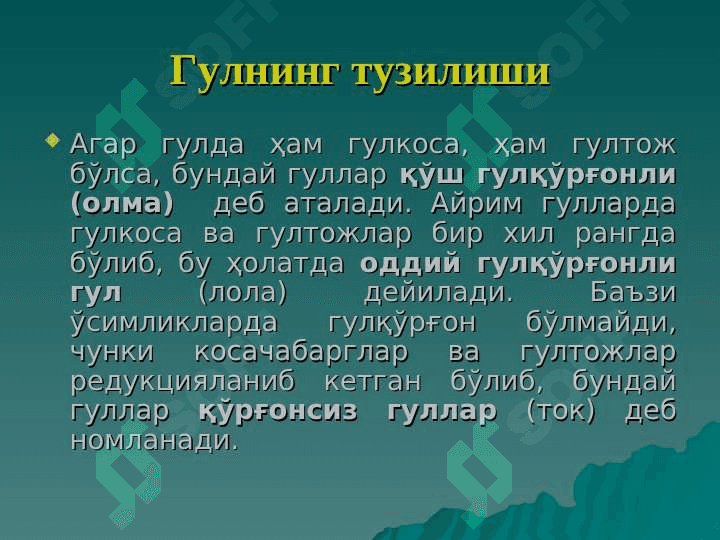 gul va uning tuzilishi va xillari pptx 5
