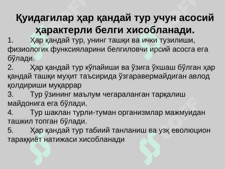 ТУБАН ЎСИМЛИКЛАР. Сувўтлари.  pptx 6