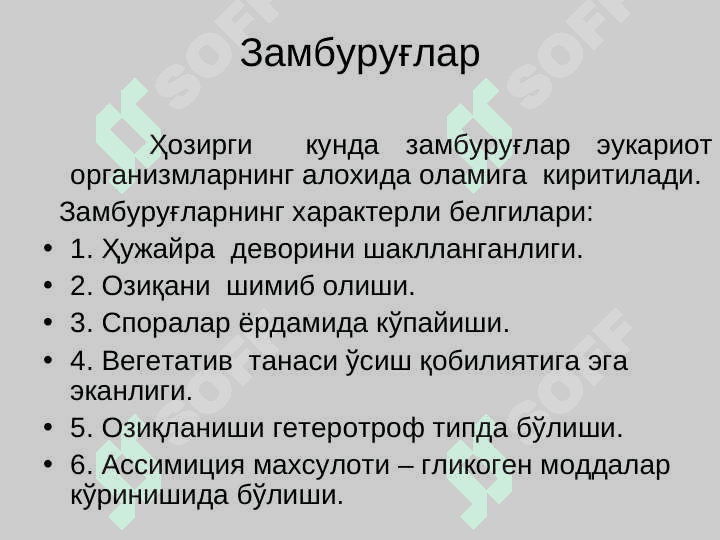 Замбуруғлар бўлими - MYCOTA  pptx 6