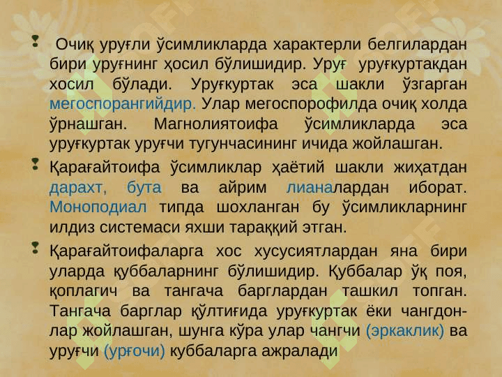 ҚАРАҒАЙТОИФА (ОЧИҚ УРУҒЛИ)– PINOPHYTA  ЁКИ GYMNOSPERMAE ЎСИМЛИКЛАР pptx 5