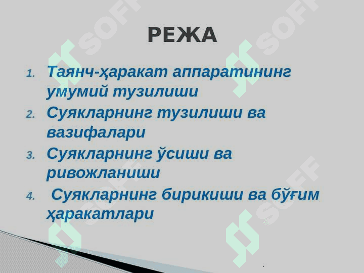 Таянч-ҳаракат тизимининг тузилиши ва аҳамияти 2