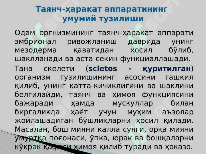 Таянч-ҳаракат тизимининг тузилиши ва аҳамияти 3