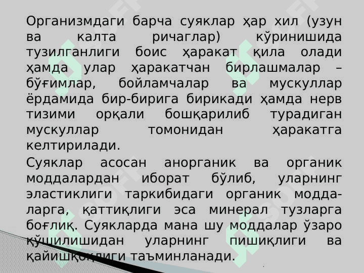 Таянч-ҳаракат тизимининг тузилиши ва аҳамияти 4