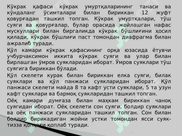 Таянч-ҳаракат тизимининг тузилиши ва аҳамияти 6