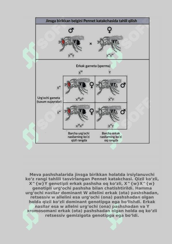 Odamlarda normal va patologik belgilarning irsiylanishi 3