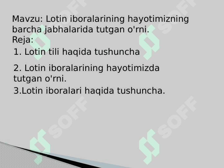 Lotin iboralarining hayotimizning barcha jabhalarida tutgan o'rni 2