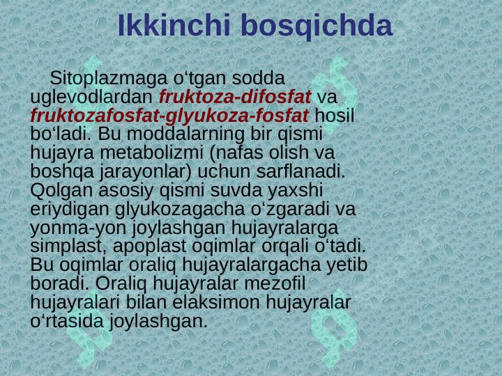 O‘SIMLIKLARDA MODDALAR TASHILUVI 7