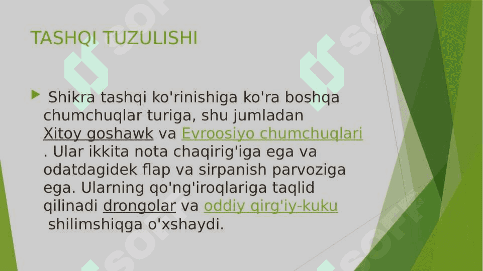 TOSH QIRG’IYLAR pptx 4