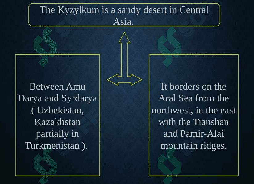Kyzylkum desert 2