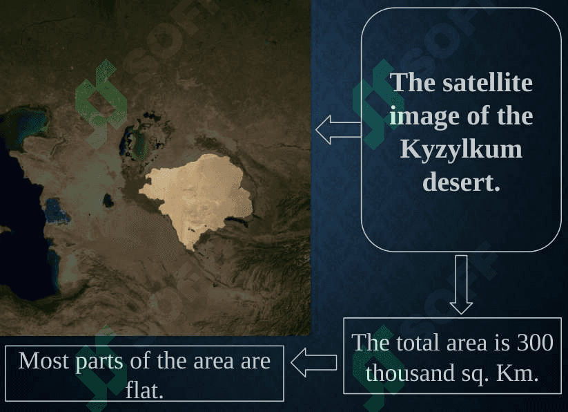 Kyzylkum desert 3