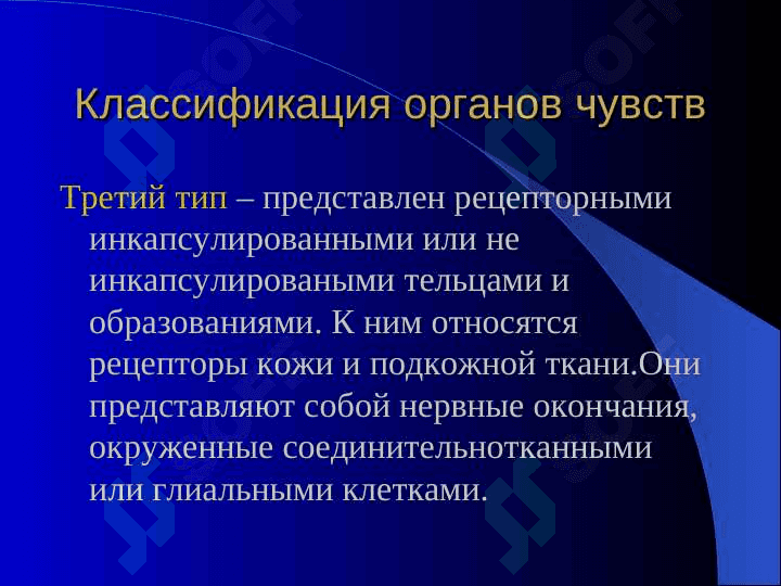 Морфо-функциональная характеристика. Понятие о сенсорных системах. Орган зрения. 6