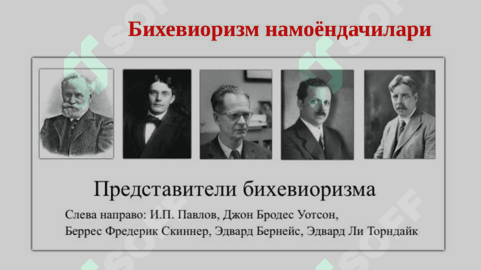 Экспериментал психологиянинг шаклланиши. Бихевиоризм 2