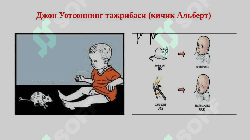 Экспериментал психологиянинг шаклланиши. Бихевиоризм 8