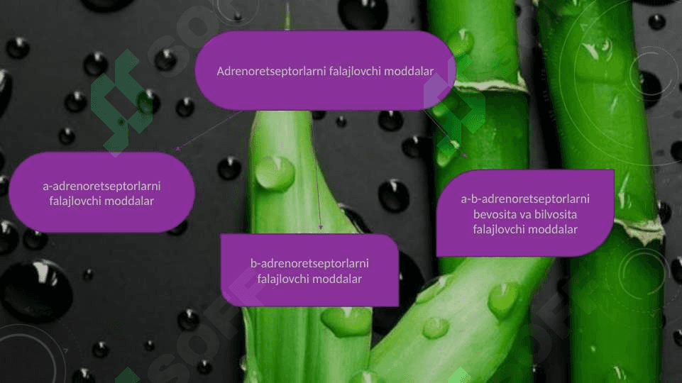 Adrenoblakatorlar va simpatolitiklar 2