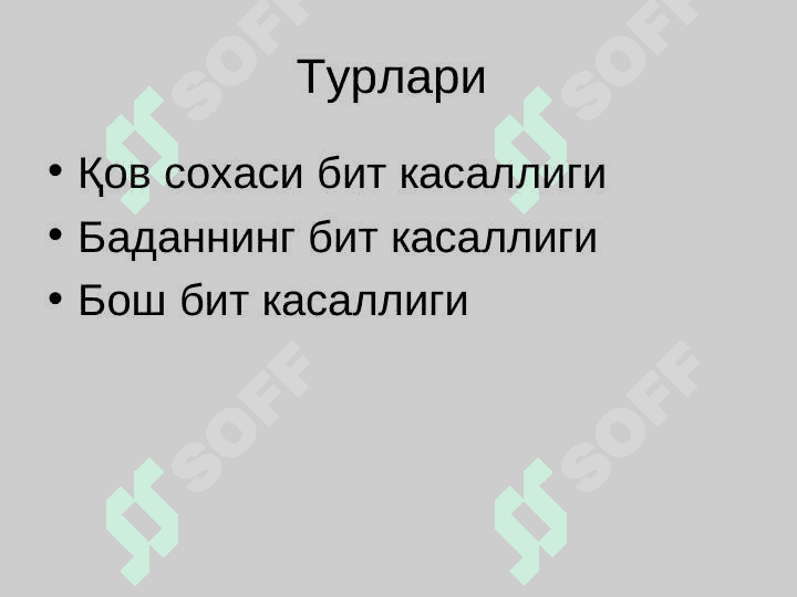 Битлаш (педикулёз) 2
