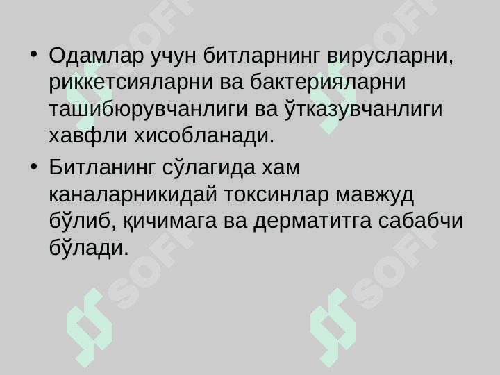 Битлаш (педикулёз) 3
