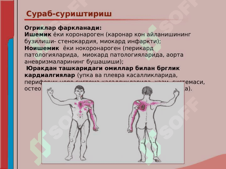 Кон айланиш системаси касалликлари билан касалланган беморларни текшириш. Сураб суриштириш, куздан кечириш. Юрак пальпацияси ва перкуссияси. 7