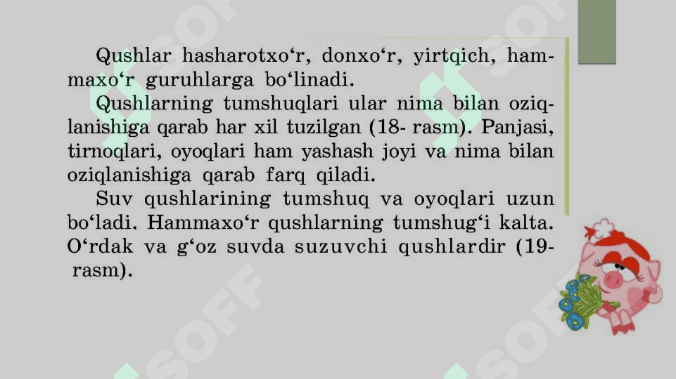 ENG MUXIM ASOSLARNING ISHLATILISHI 6