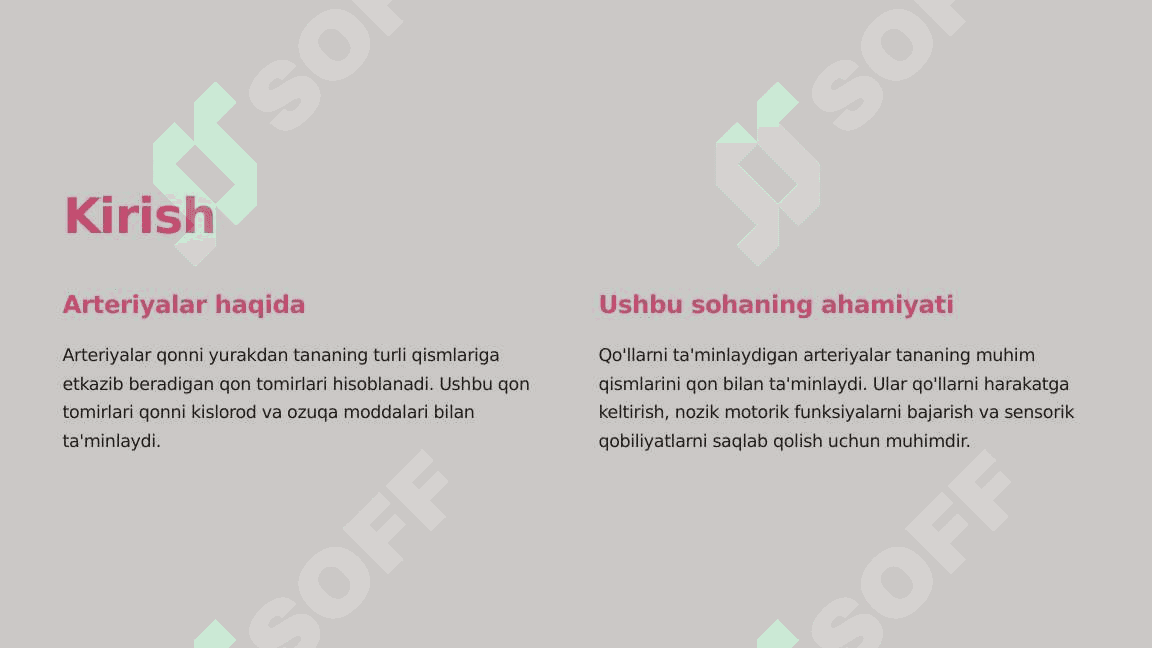 O'mrov osti, qo'ltiq, yelka-bilak sohasi arteriyalari taraqqiyoti 2 3