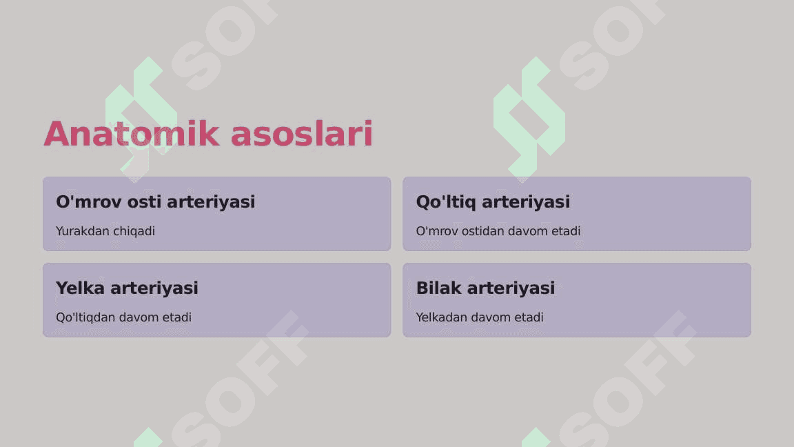 O'mrov osti, qo'ltiq, yelka-bilak sohasi arteriyalari taraqqiyoti 2 4