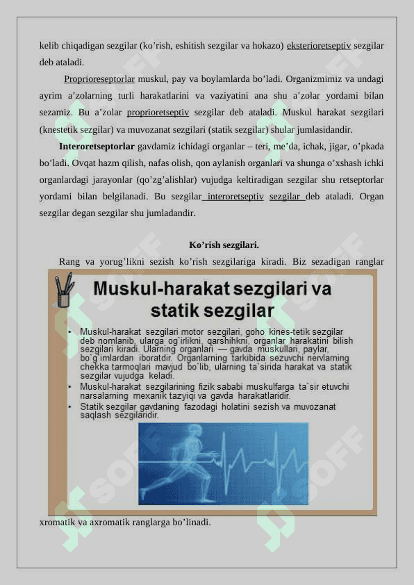 Sezgi haqida umumiy tushuncha. Sezgi turlari va qonuniyatlari 4