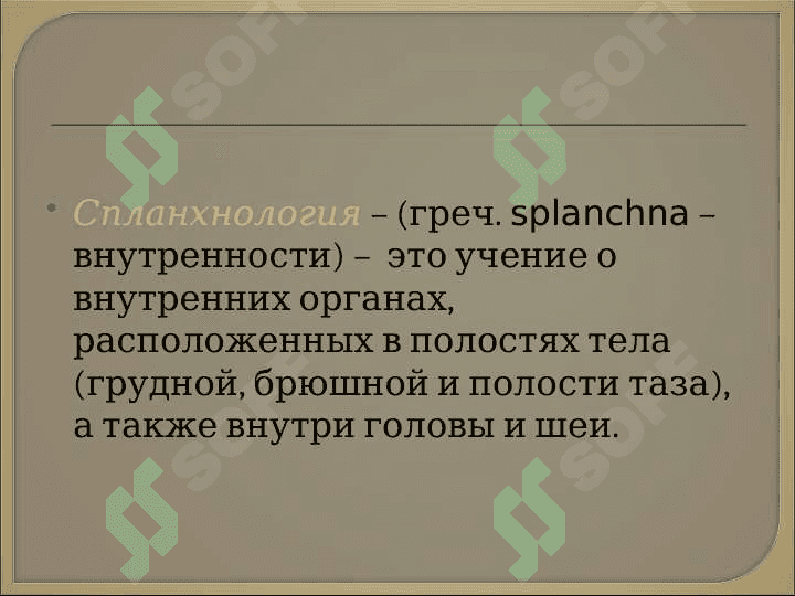 Спланхнология 2