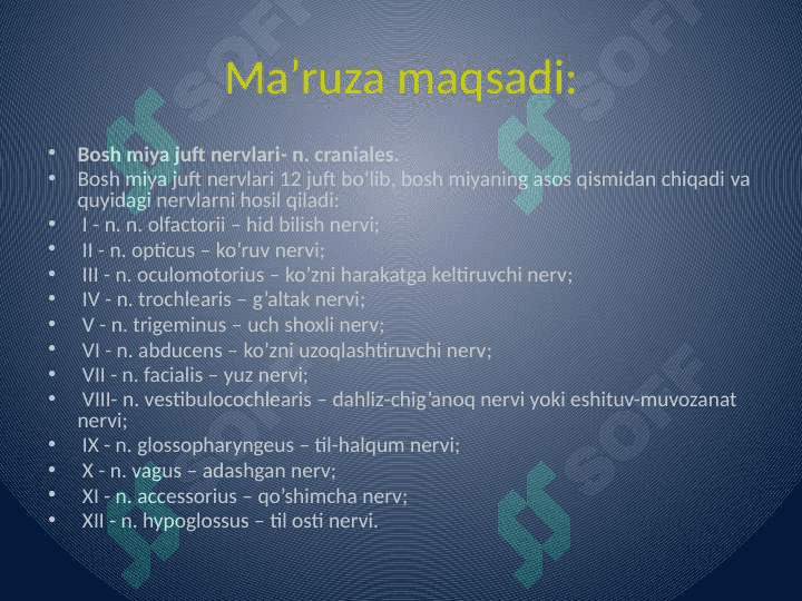 Bosh miya juft nervlarining funksional anatomiyasi 2