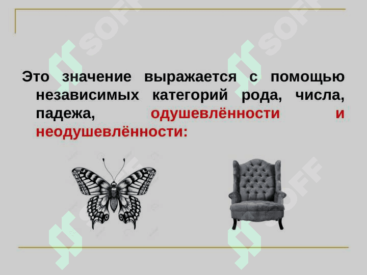 Имя существительное 4