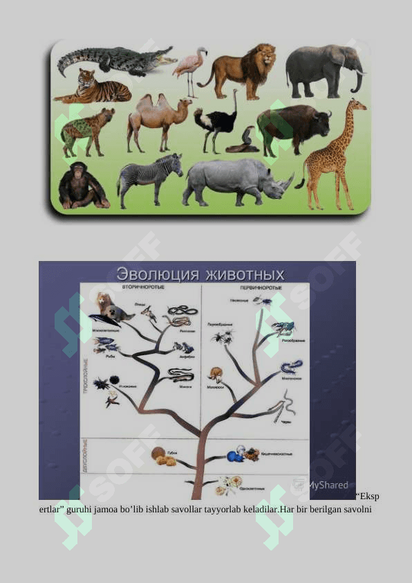 Hayvonot  dunyosidagi  evolyutsion o’zgarishlar. 4