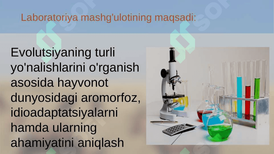 Umurtqali hayvonlar misolida aromorfoz, idioadaptatsiyalarni o'rganish 3